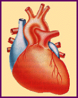 [HEART
        IMAGE]